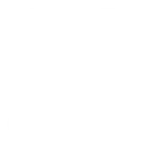 Reparaturen
